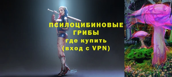 mix Карпинск