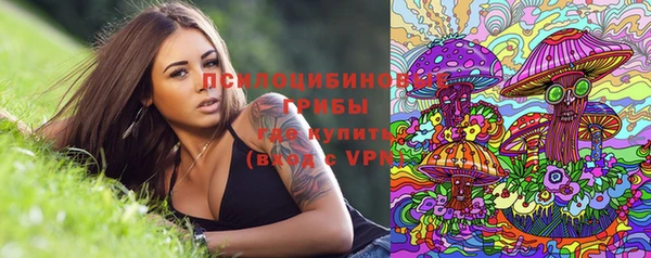 mix Карпинск