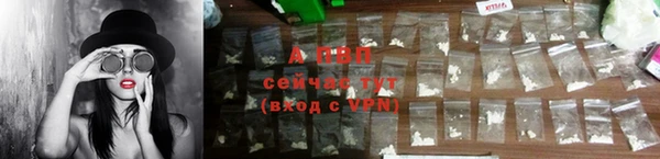 дживик Александровское