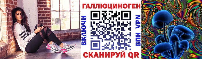 blacksprut tor  Юрга  Псилоцибиновые грибы прущие грибы 