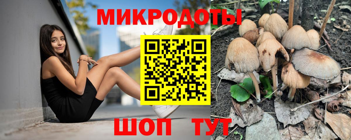 Галлюциногенные грибы Psilocybine cubensis  Вход с VPN  Юрга  Псилоцибиновые грибы мицелий 