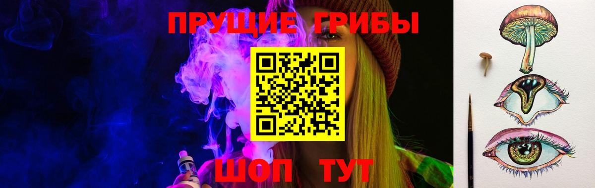 Галлюциногенные грибы Psilocybine cubensis Юрга